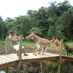 gouadeloupe2005 117