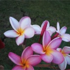 DSCF0331.JPG
