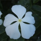 DSCF0332.JPG