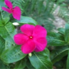 DSCF0334.JPG