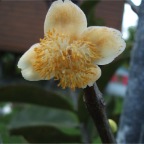 DSCF0337.JPG