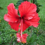 DSCF0344.JPG