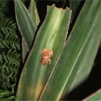 DSCF0373.JPG