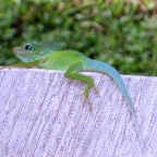 DSCF0398.JPG