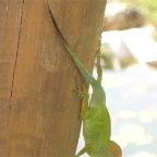 DSCF0399.JPG