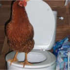 DSCF2074.JPG