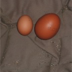 DSCF2667.JPG