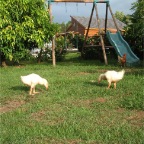 DSCF3379.JPG